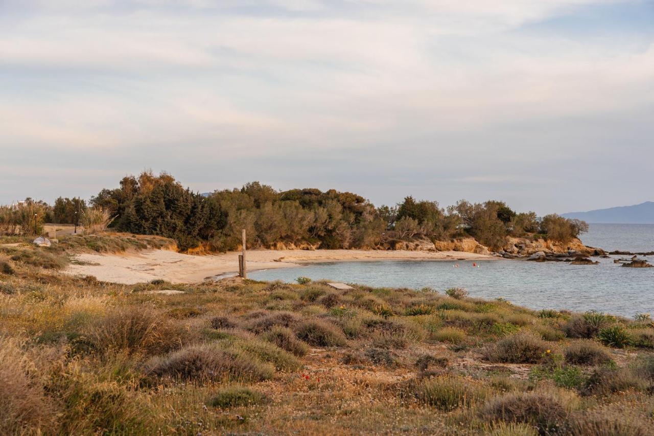 Villa Nausicaa Kastraki Naxos Naxos City Eksteriør bilde